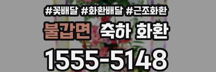 불갑면 축하 화환