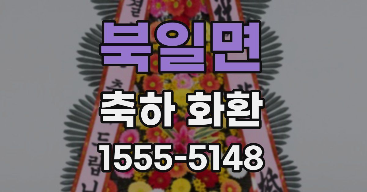 북일면 축하 화환