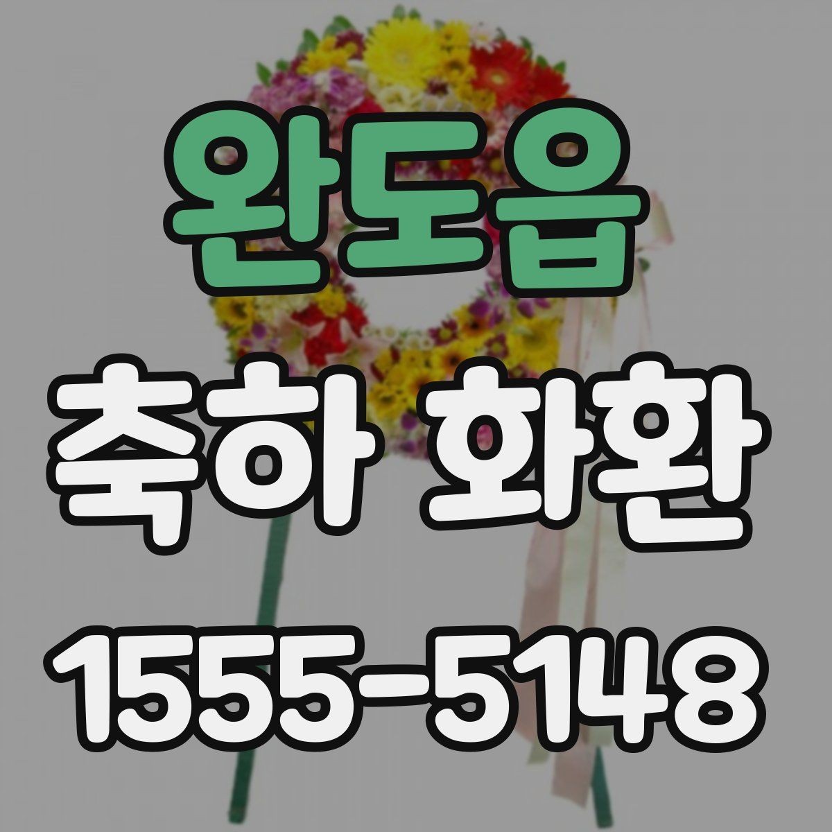 완도읍 축하 화환 예식과 개업 행사에 맞는 차이