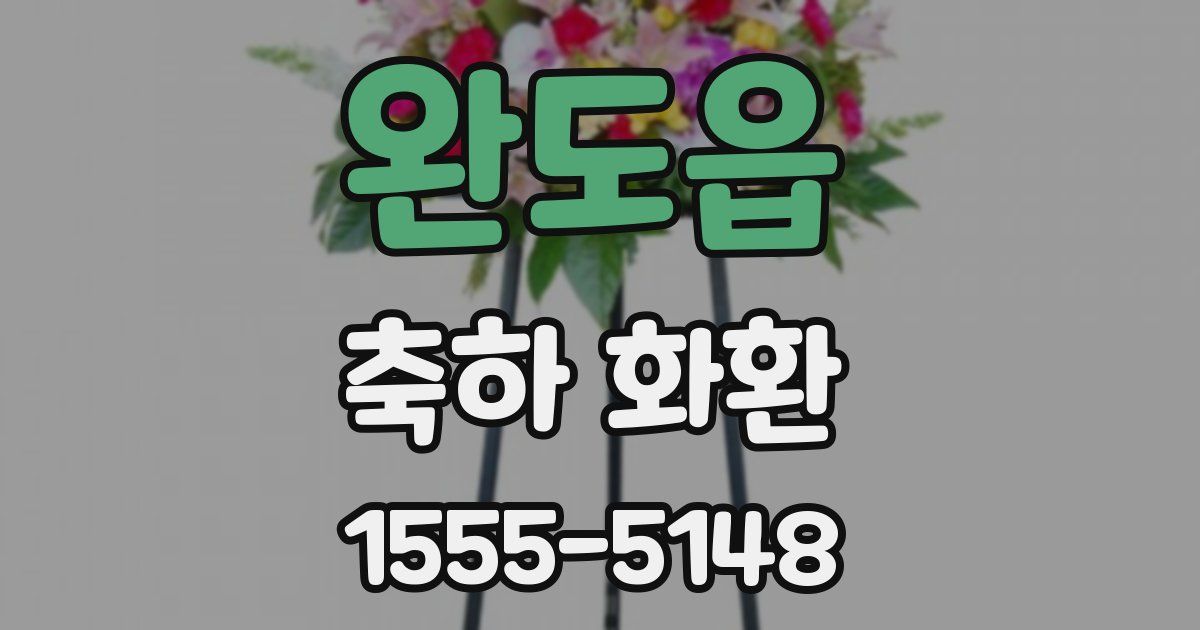 완도읍 축하 화환