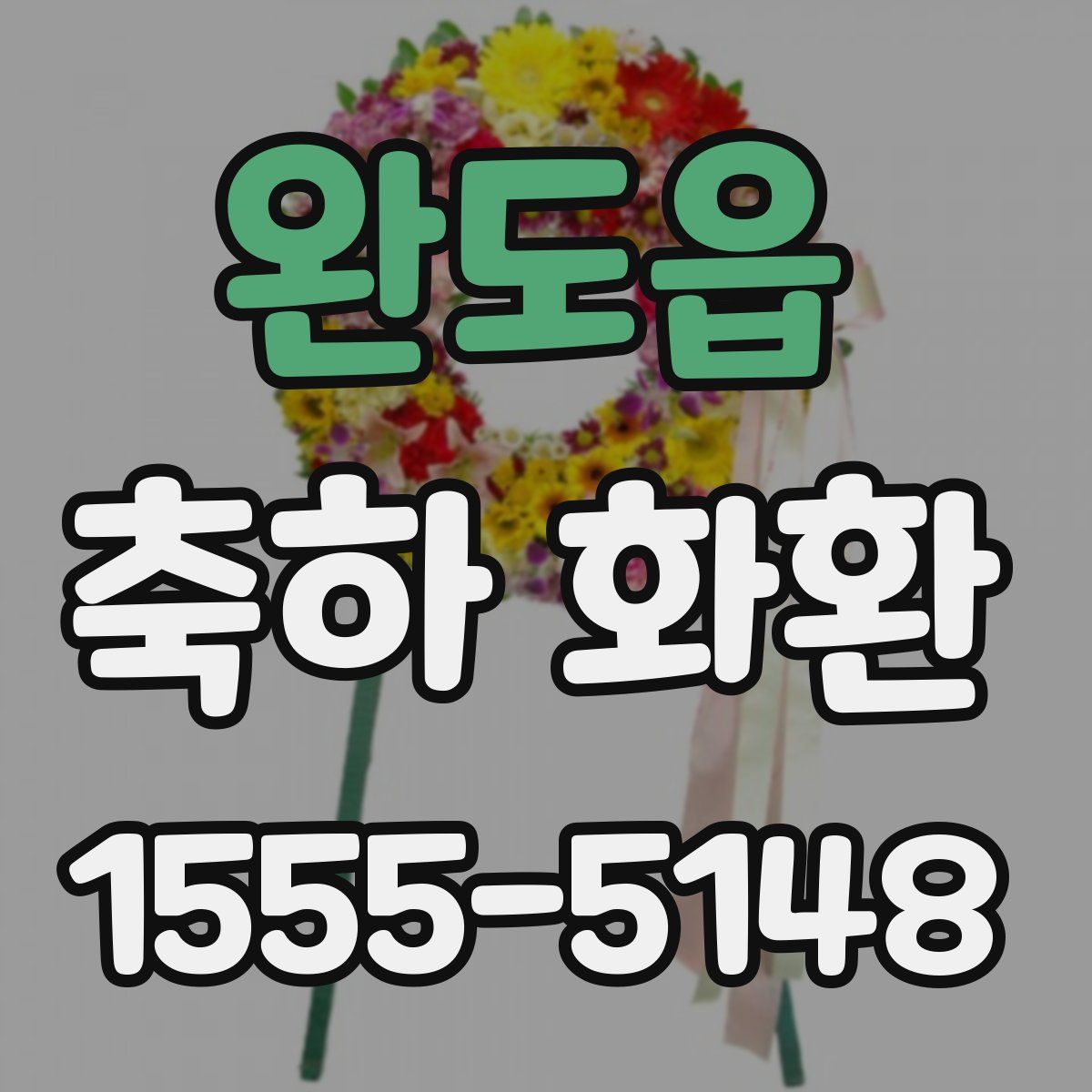 완도읍 축하 화환