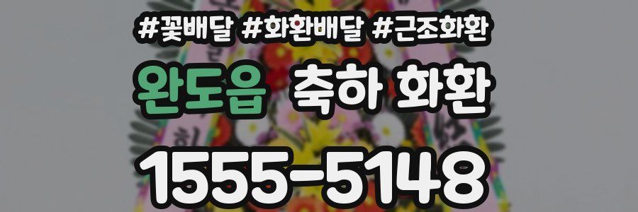 완도읍 축하 화환