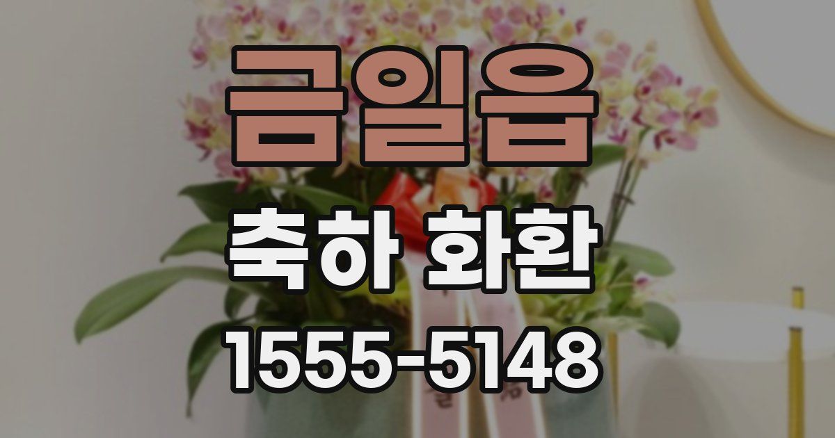 금일읍 축하 화환