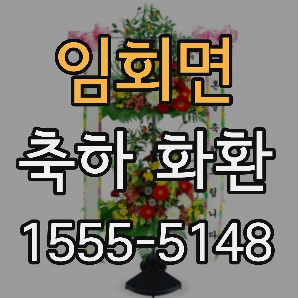 임회면 축하 화환
