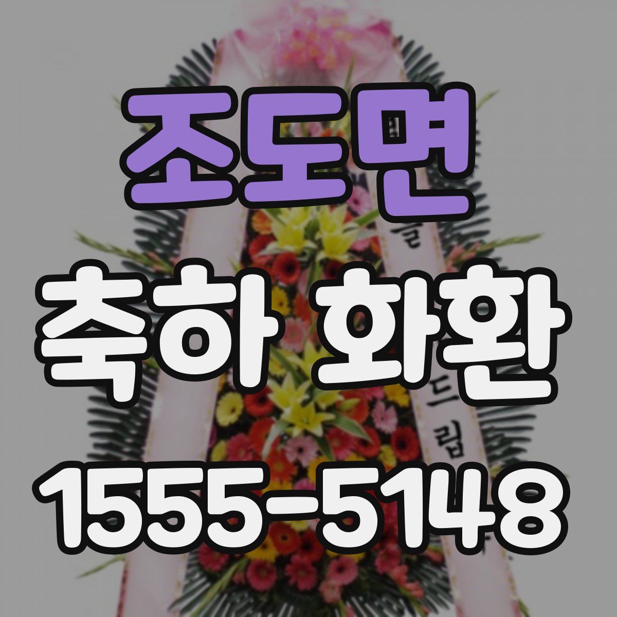 조도면 축하 화환