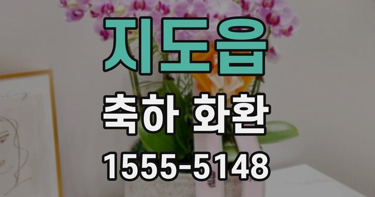 지도읍 축하 화환