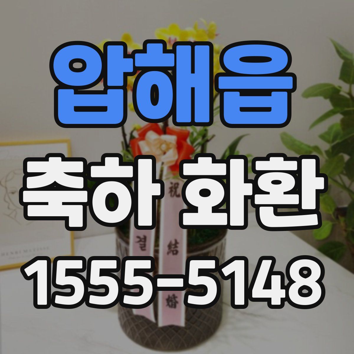 압해읍 축하 화환