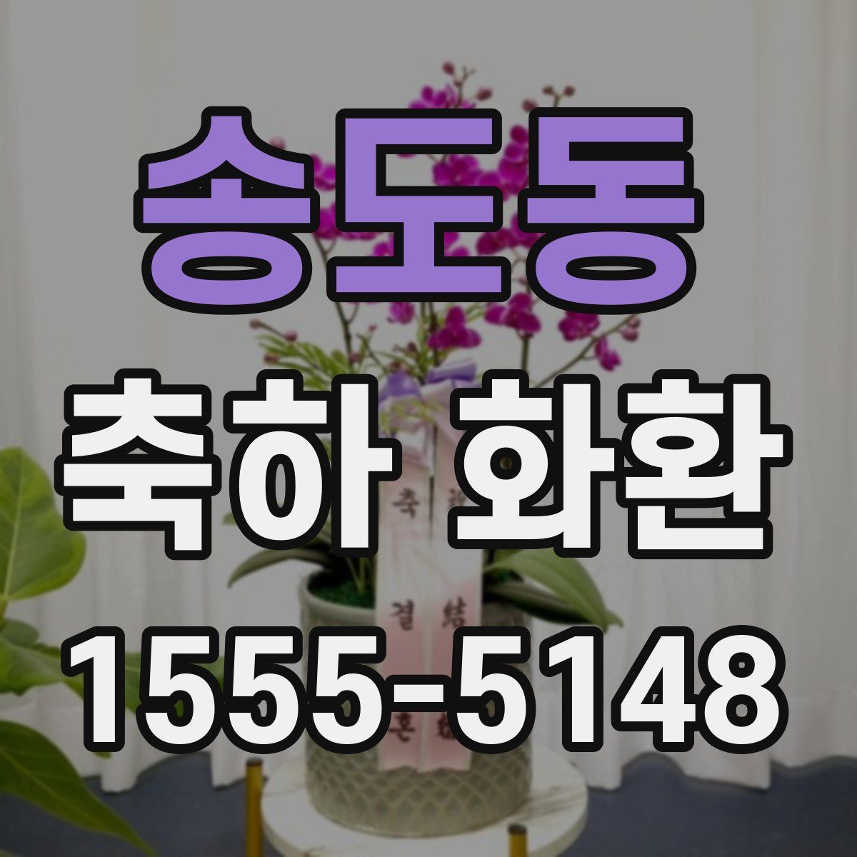 송도동 축하 화환