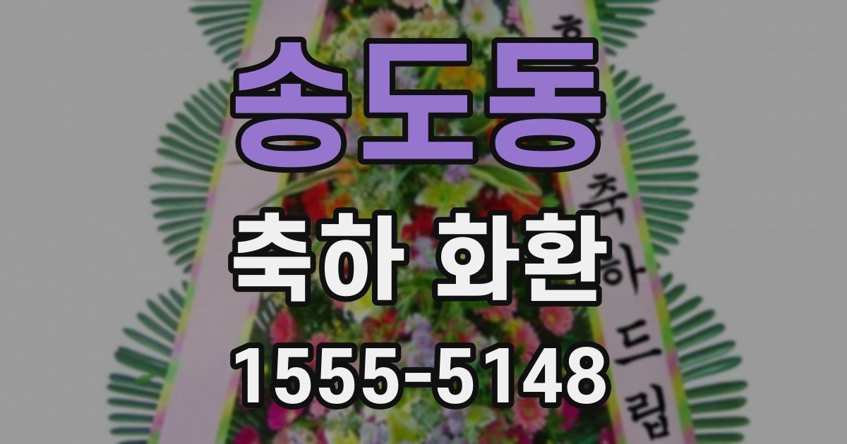 송도동 축하 화환