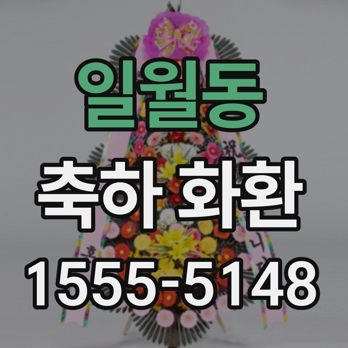 일월동 축하 화환