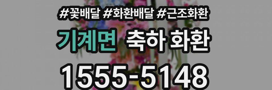 기계면 축하 화환