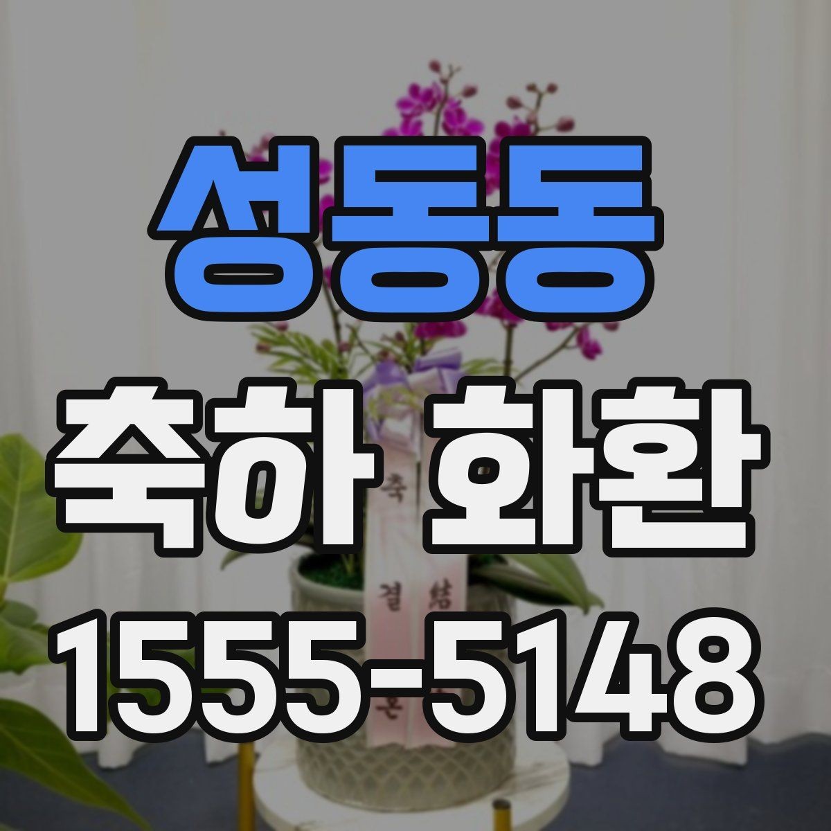 성동동 축하 화환 주문 경험이 없는 분을 위한 안내