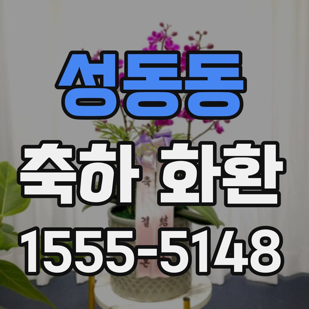 성동동 축하 화환
