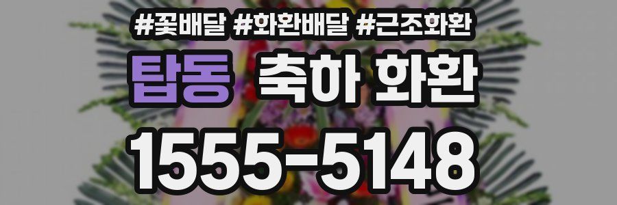 탑동 축하 화환