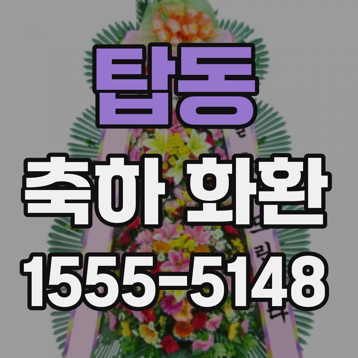 탑동 축하 화환