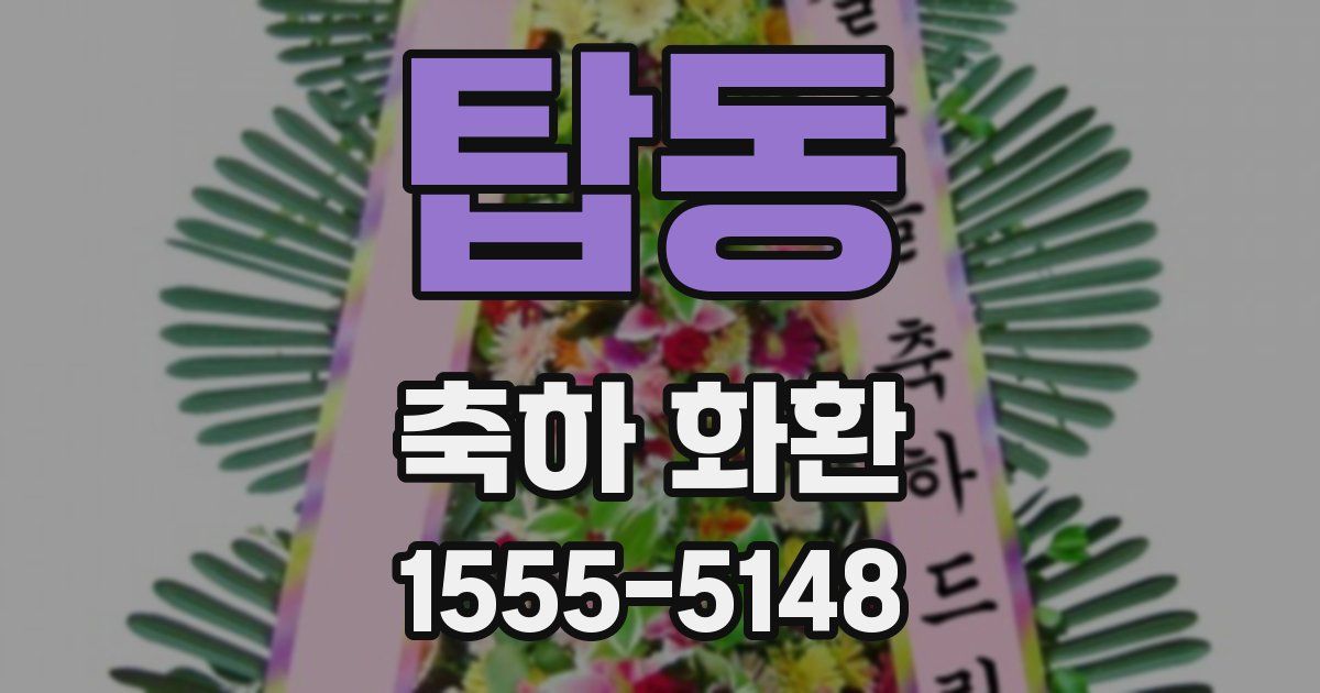 탑동 축하 화환