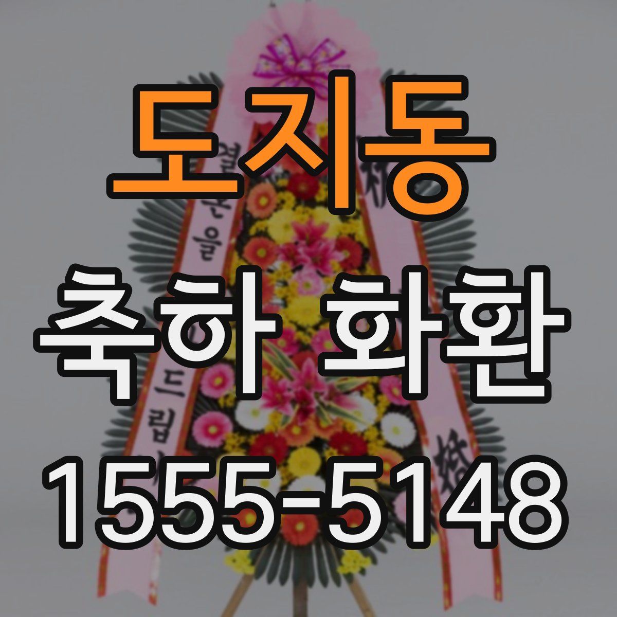 도지동 축하 화환