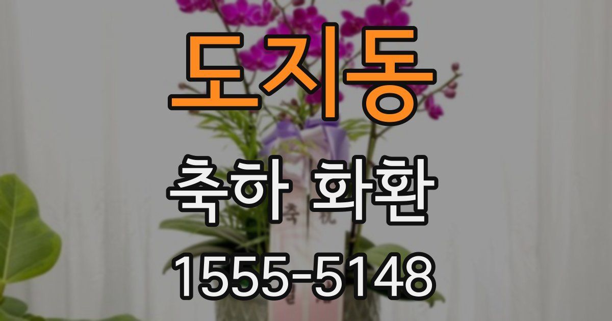 도지동 축하 화환