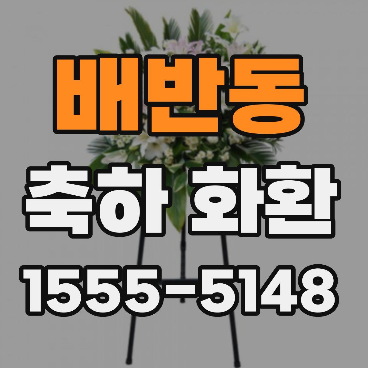 배반동 축하 화환