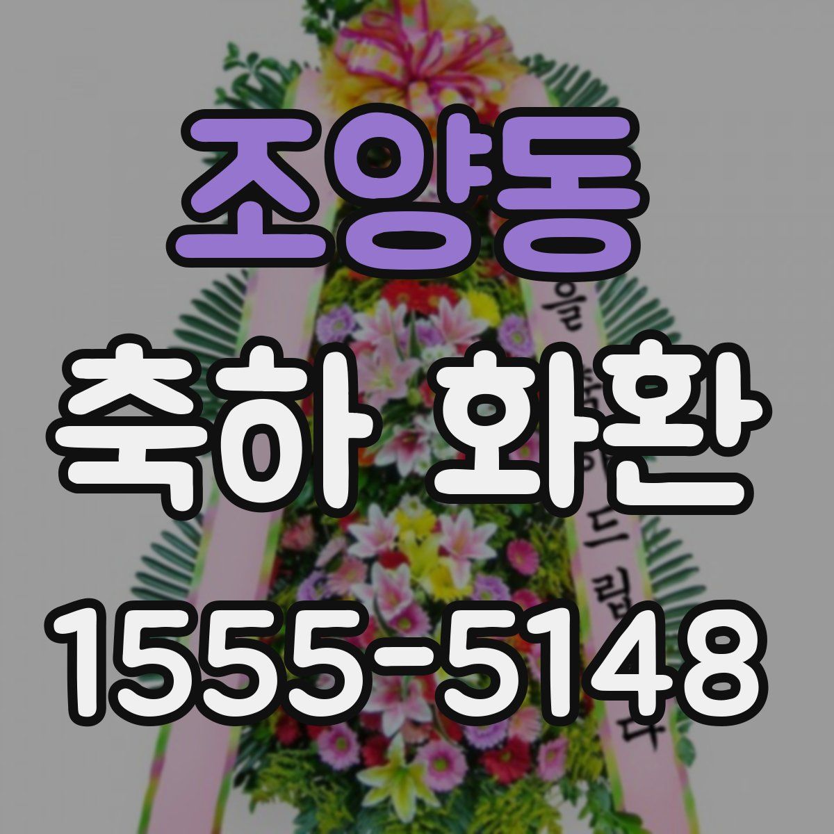 조양동 축하 화환