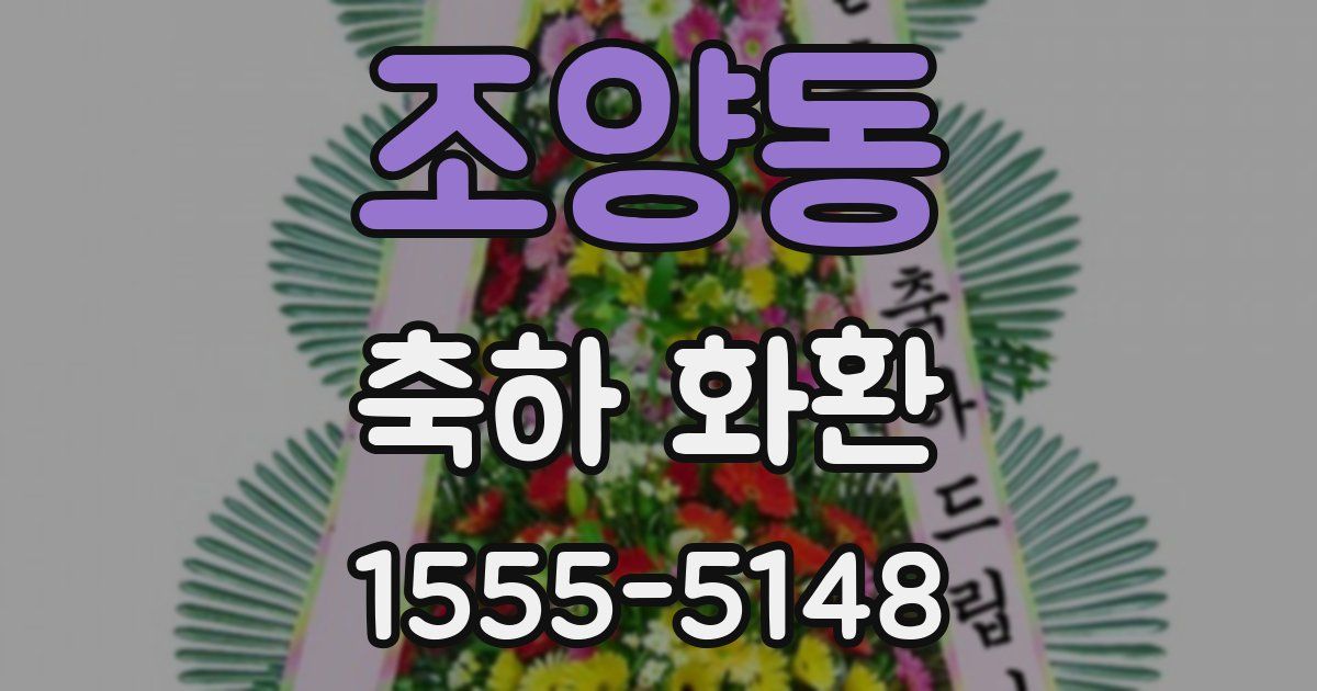조양동 축하 화환