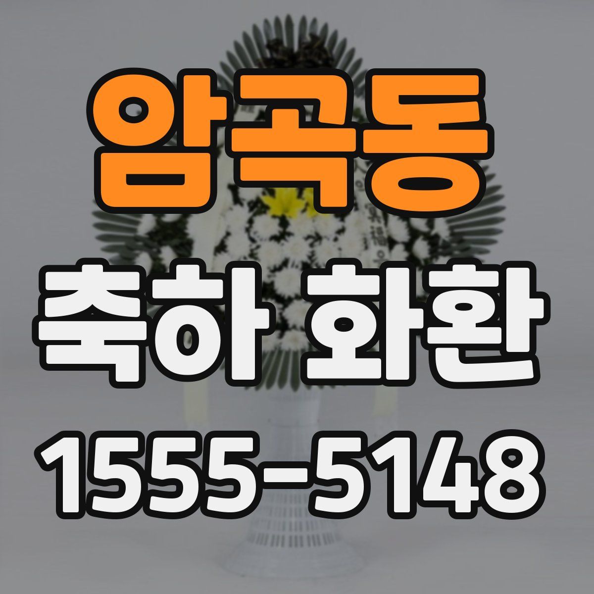암곡동 축하 화환