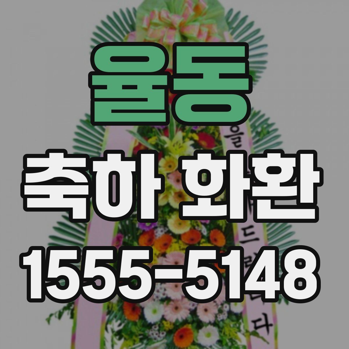 율동 축하 화환 오래 보이게 관리하는 방법
