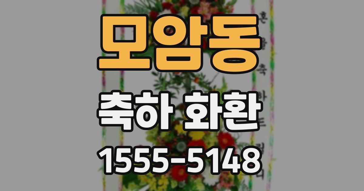 모암동 축하 화환