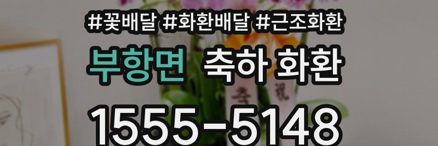 부항면 축하 화환