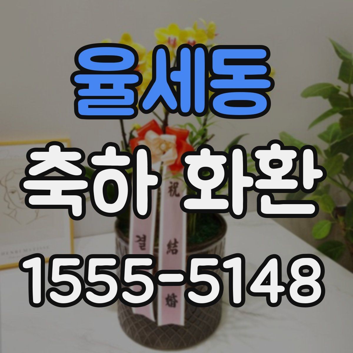 율세동 축하 화환 비교할 때 확인할 사진과 설명