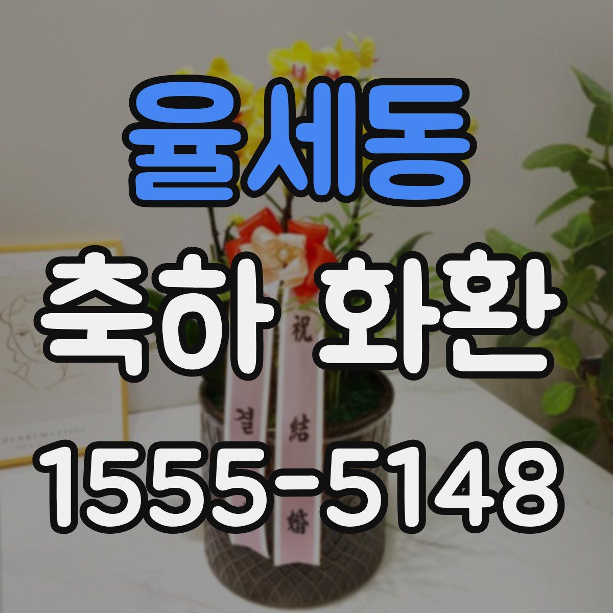 율세동 축하 화환