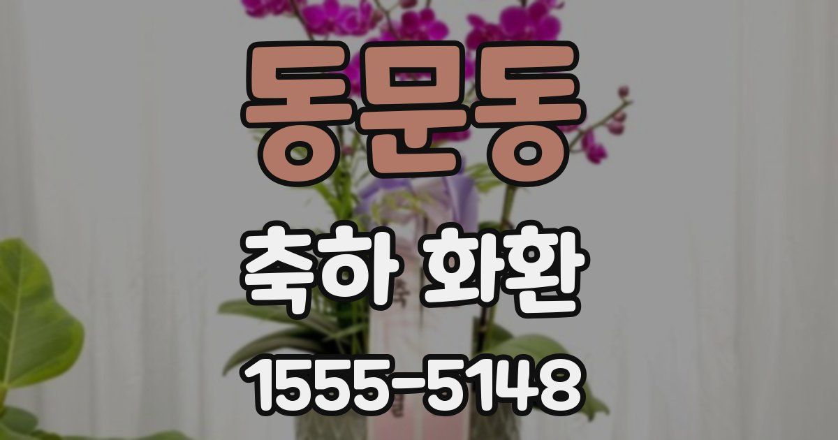 동문동 축하 화환