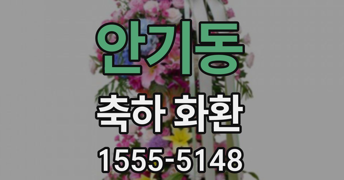안기동 축하 화환