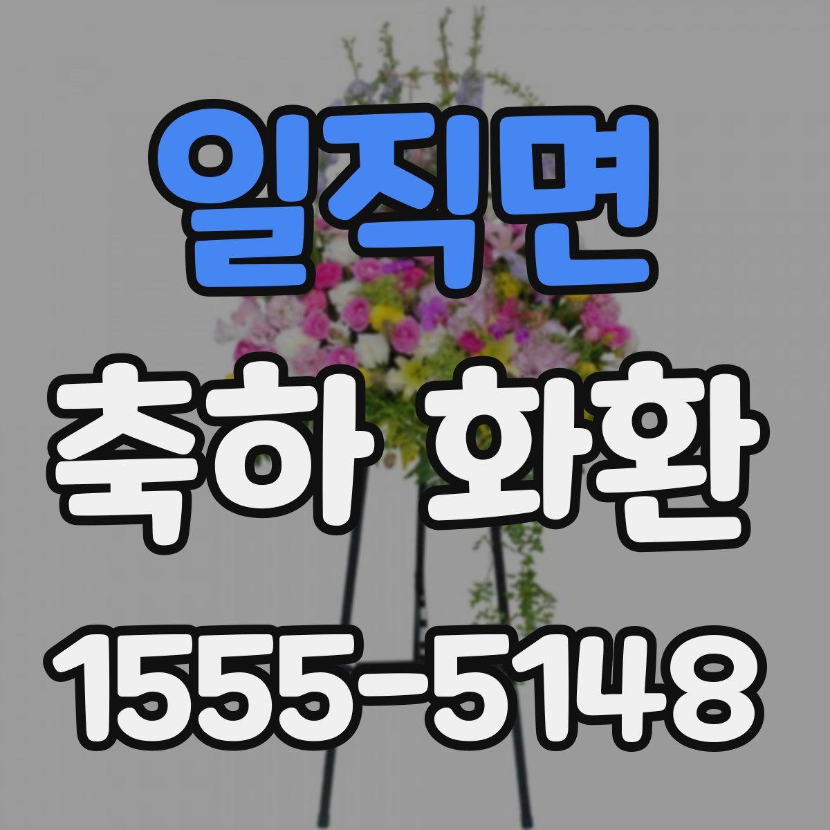 일직면 축하 화환