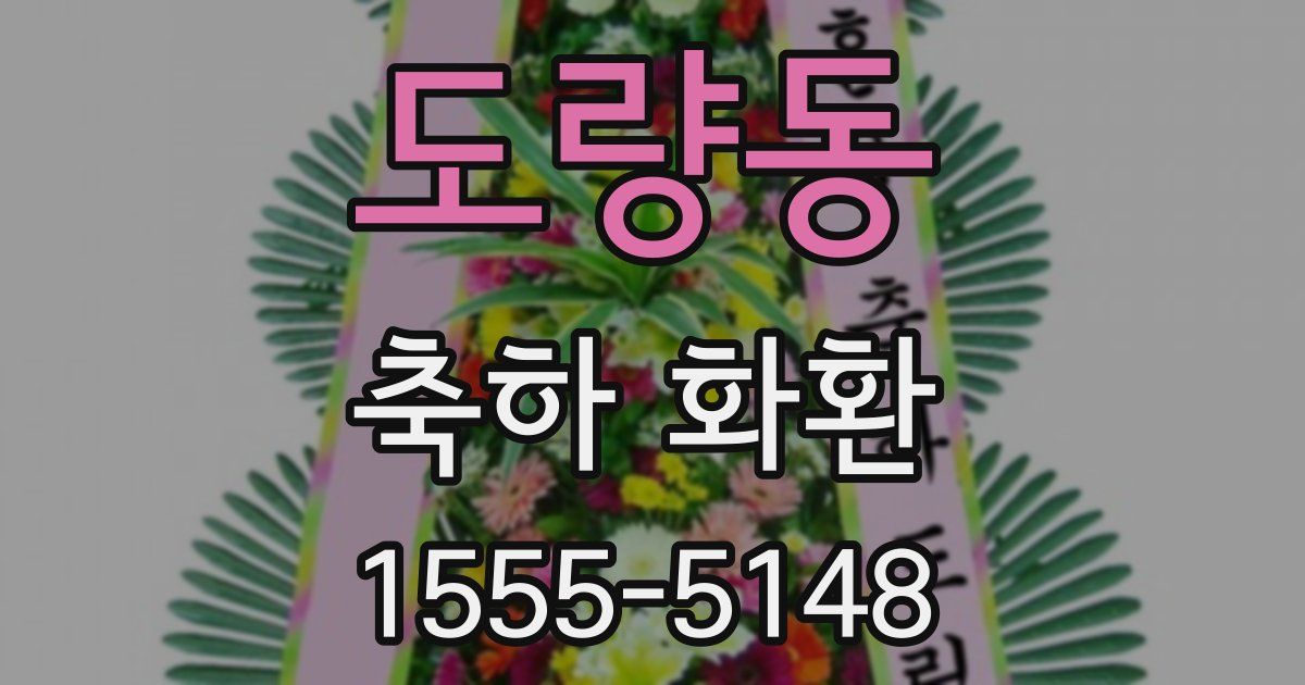 도량동 축하 화환