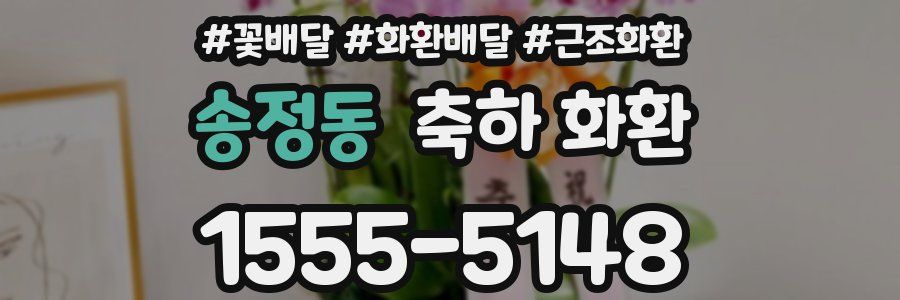 송정동 축하 화환