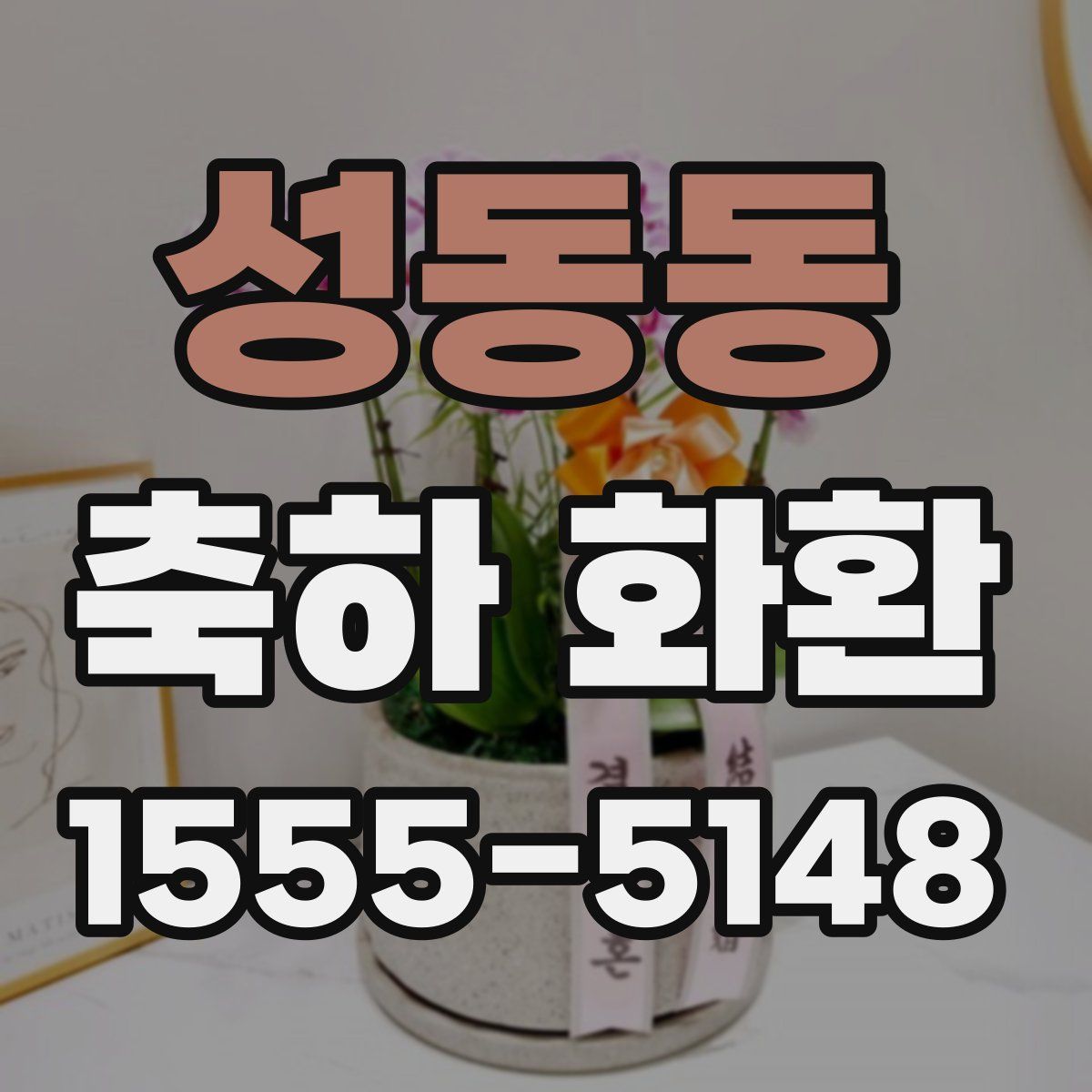 성동동 축하 화환