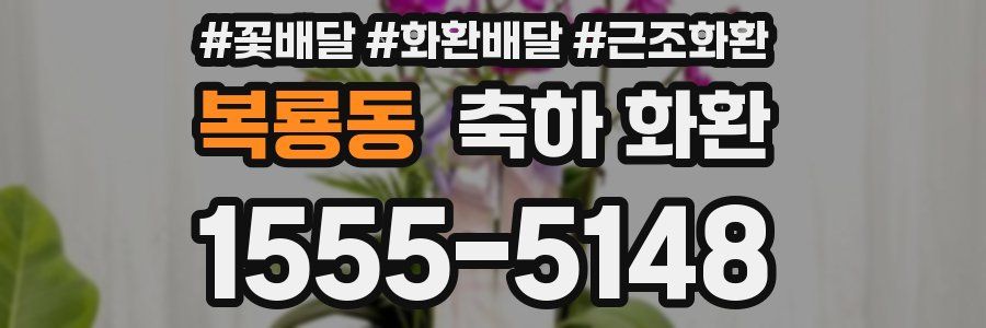 복룡동 축하 화환