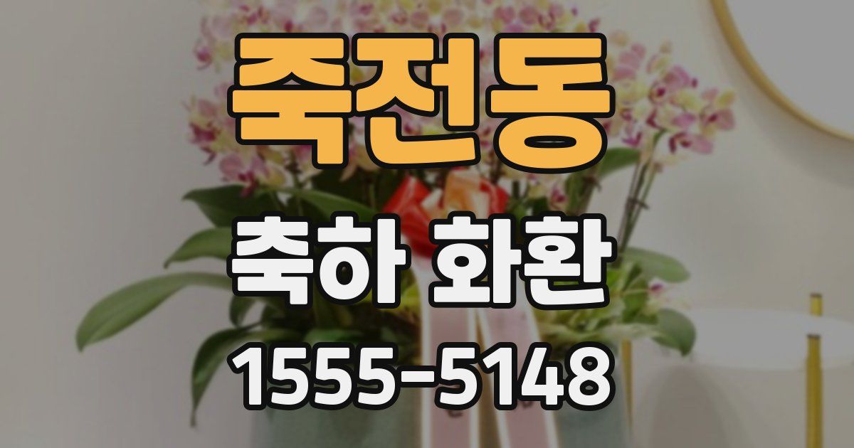 죽전동 축하 화환