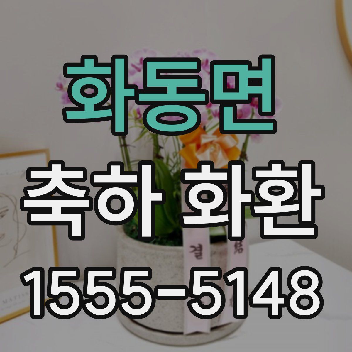 화동면 축하 화환