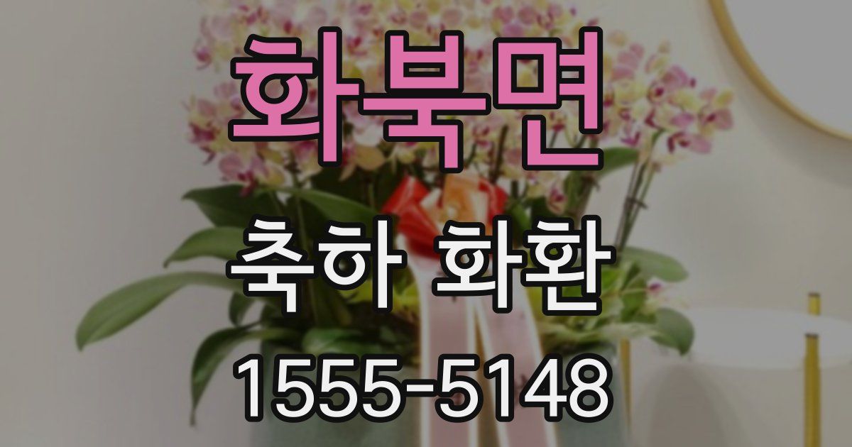 화북면 축하 화환