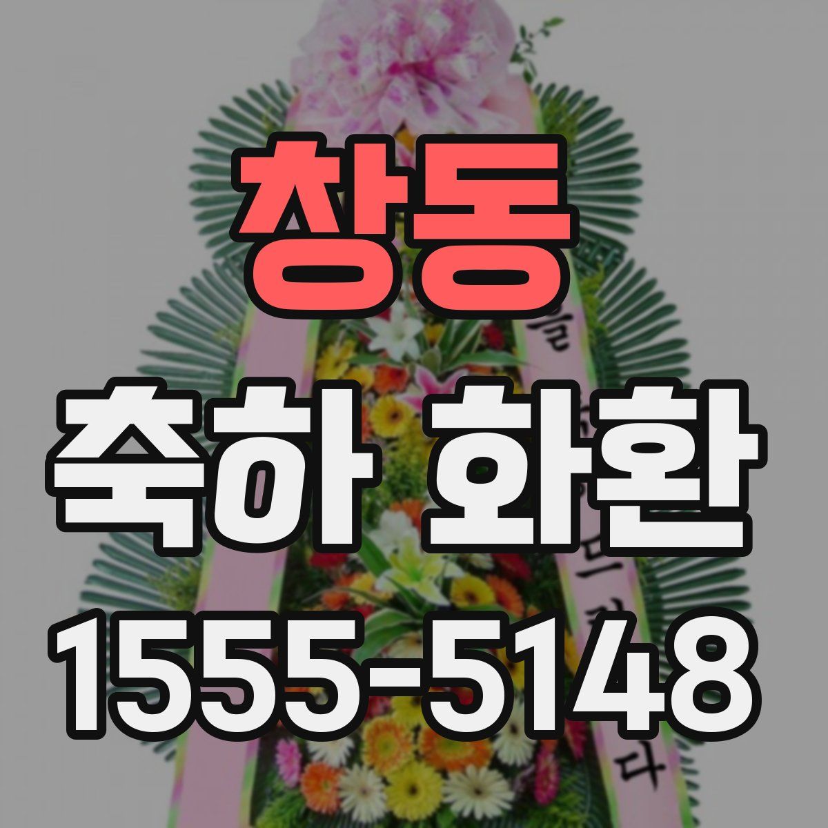 창동 축하 화환