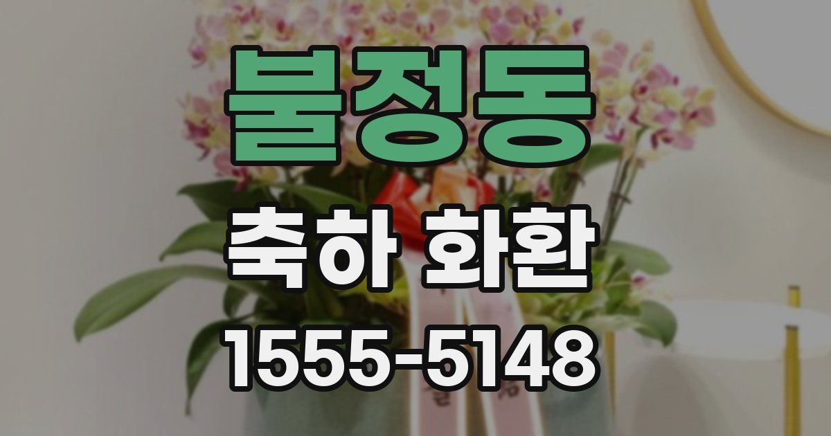 불정동 축하 화환