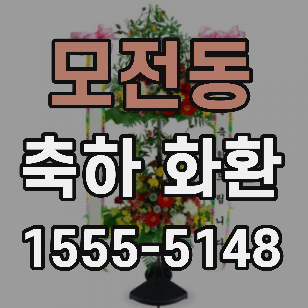 모전동 축하 화환