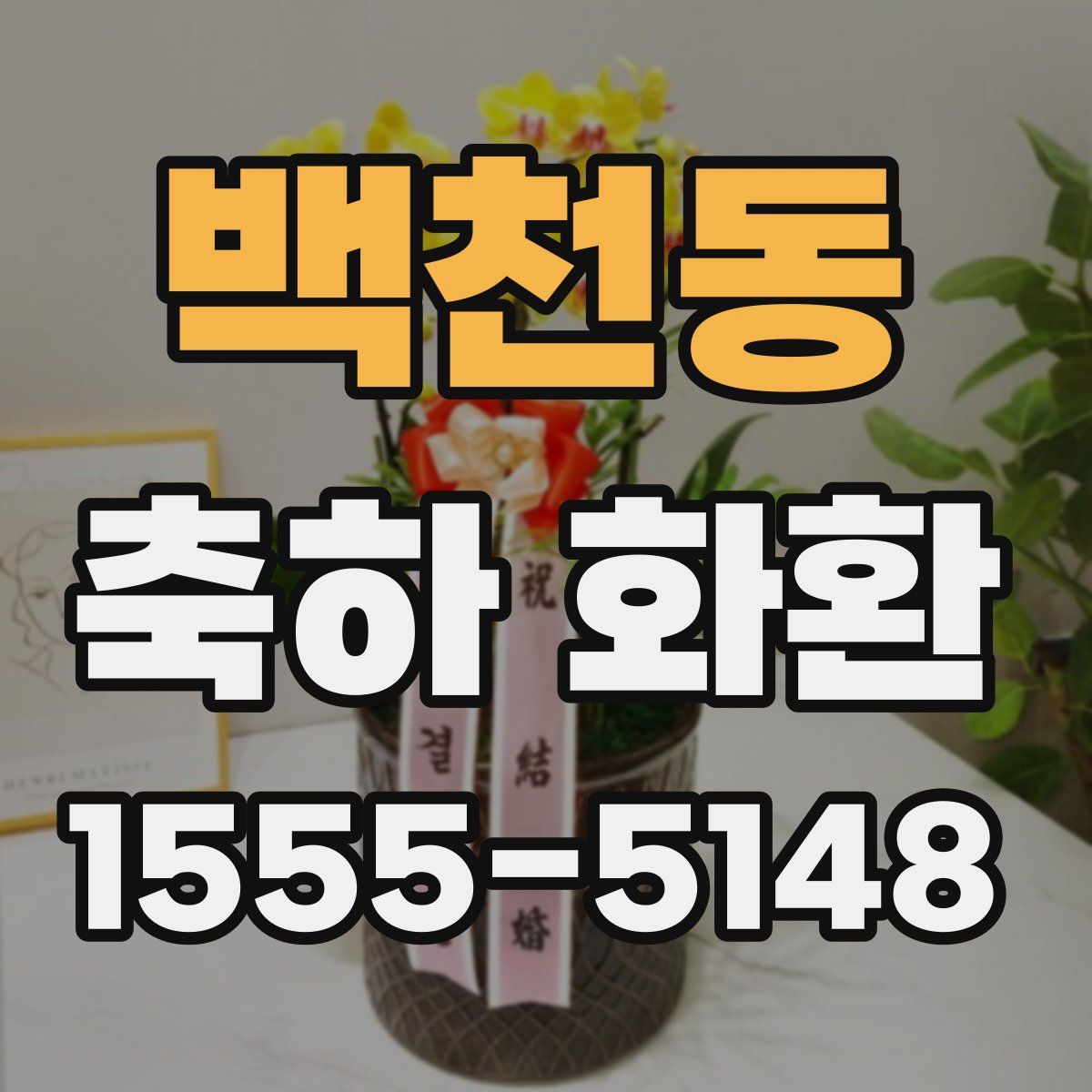 백천동 축하 화환
