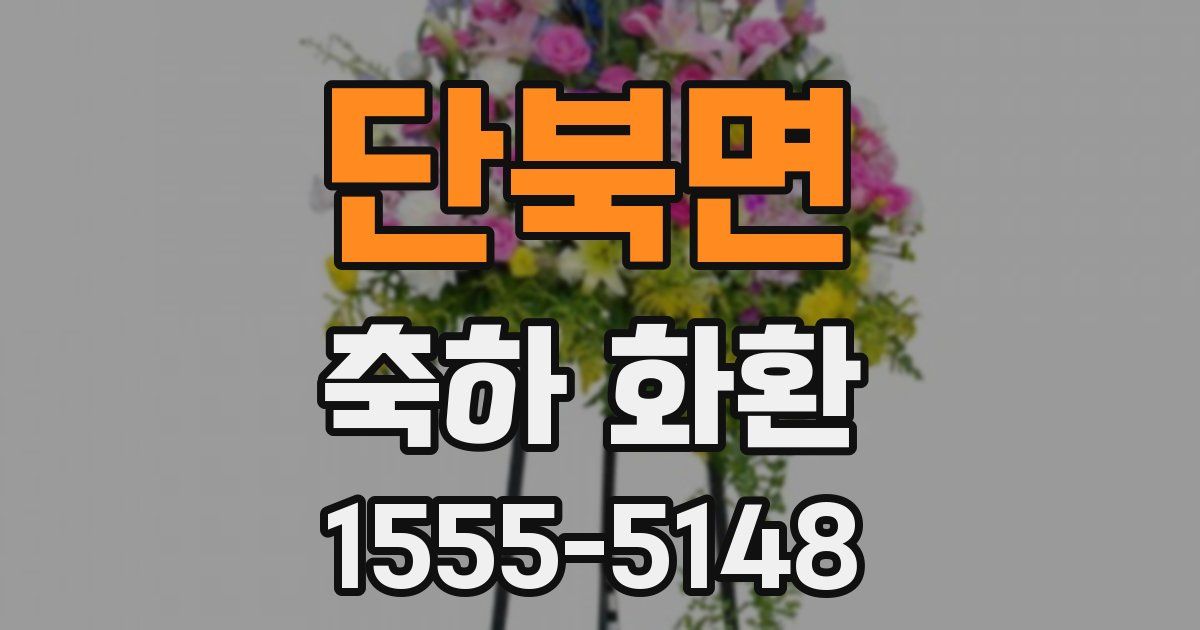 단북면 축하 화환