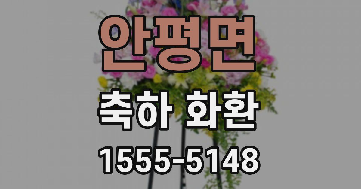 안평면 축하 화환