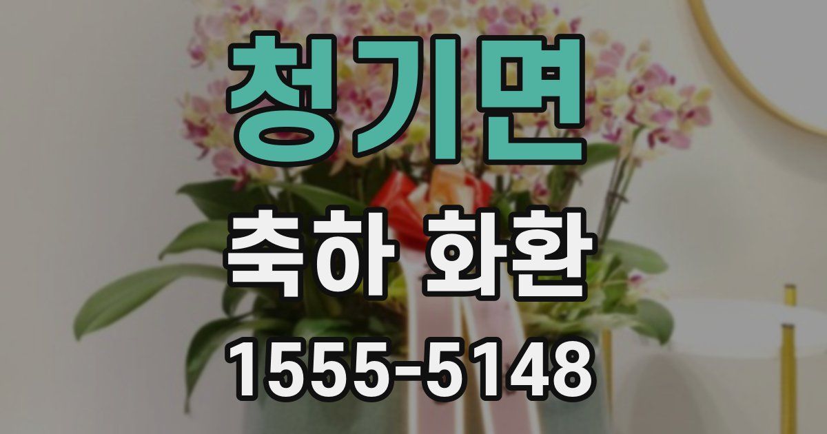 청기면 축하 화환