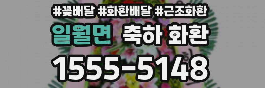 일월면 축하 화환