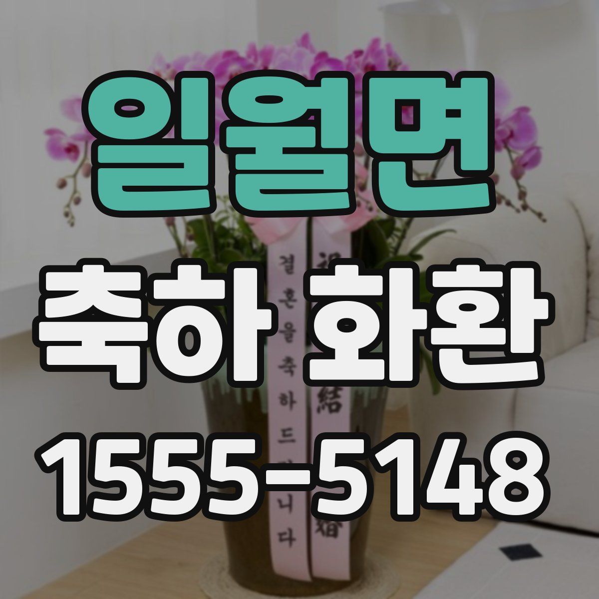 일월면 축하 화환